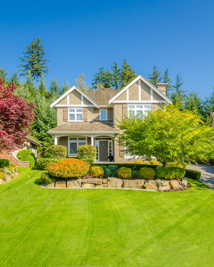 Large, luxurious house with perfectly groomed front yard